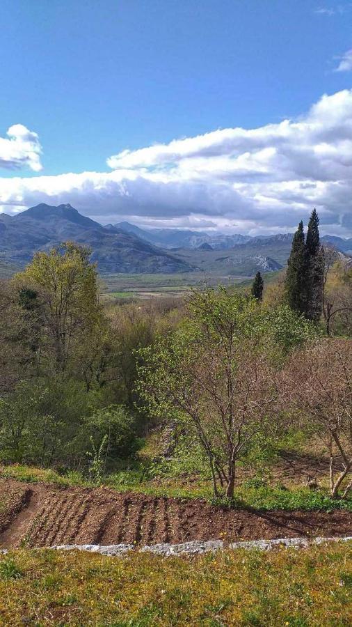 Apartman Vesna Virpazar Dış mekan fotoğraf