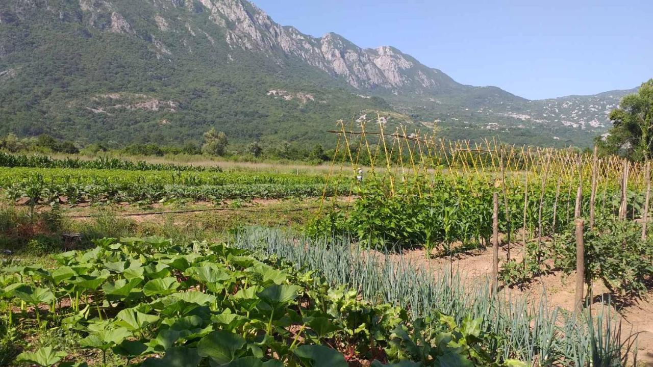 Apartman Vesna Virpazar Dış mekan fotoğraf