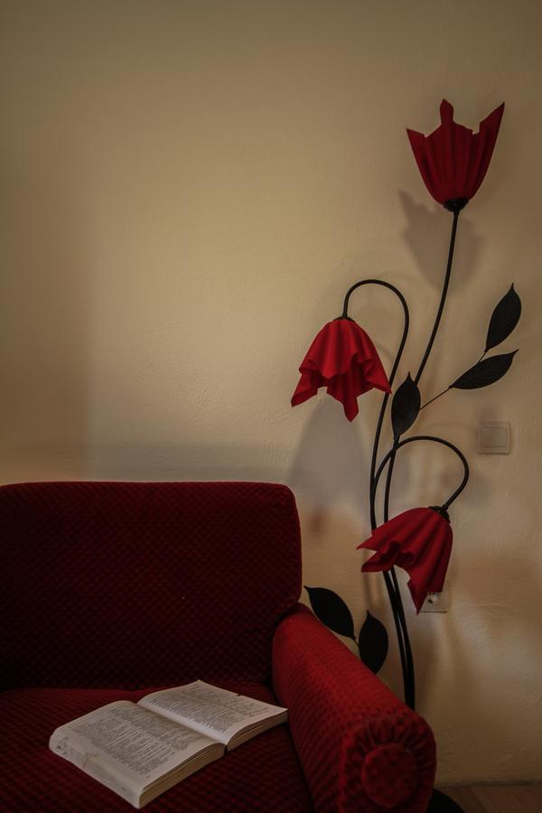Apartman Vesna Virpazar Dış mekan fotoğraf