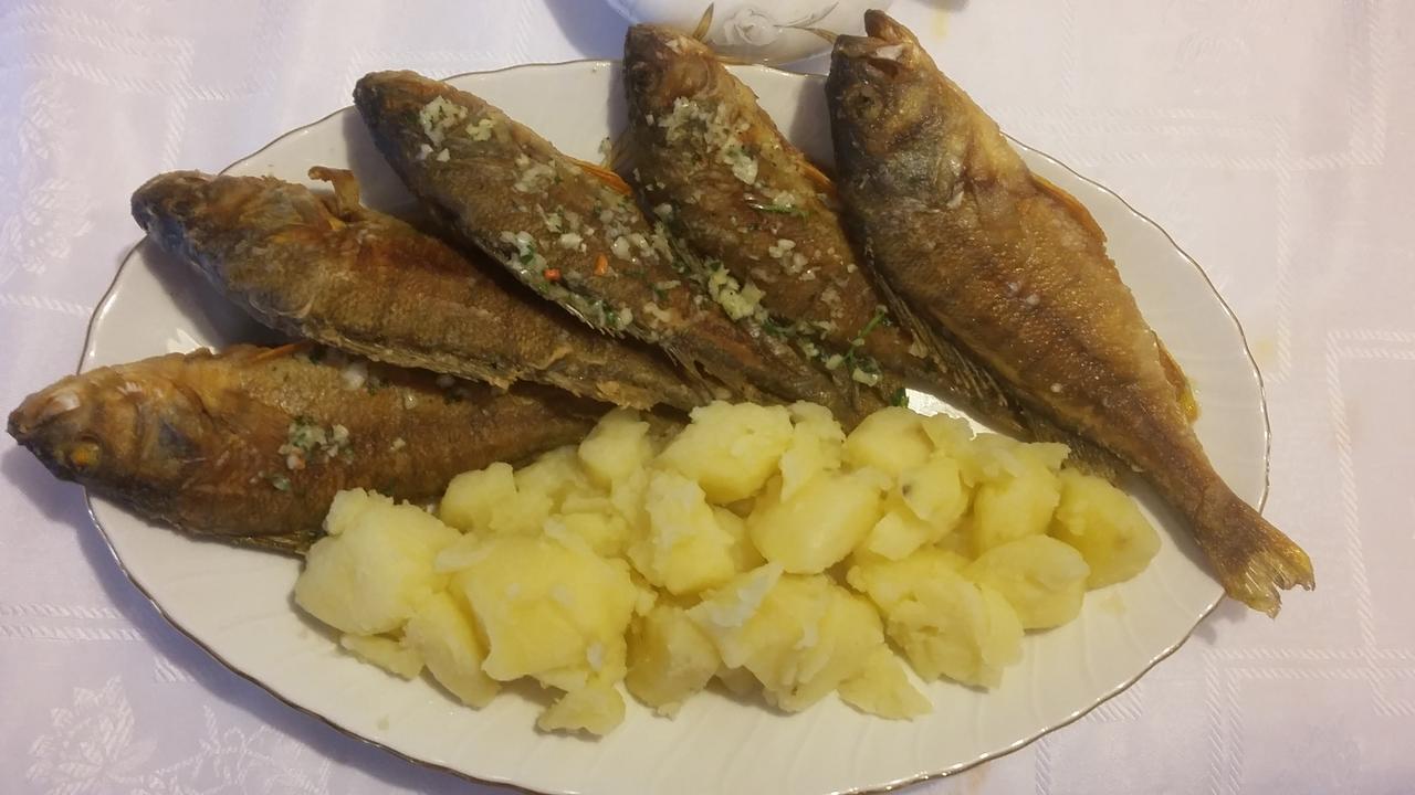 Apartman Vesna Virpazar Dış mekan fotoğraf