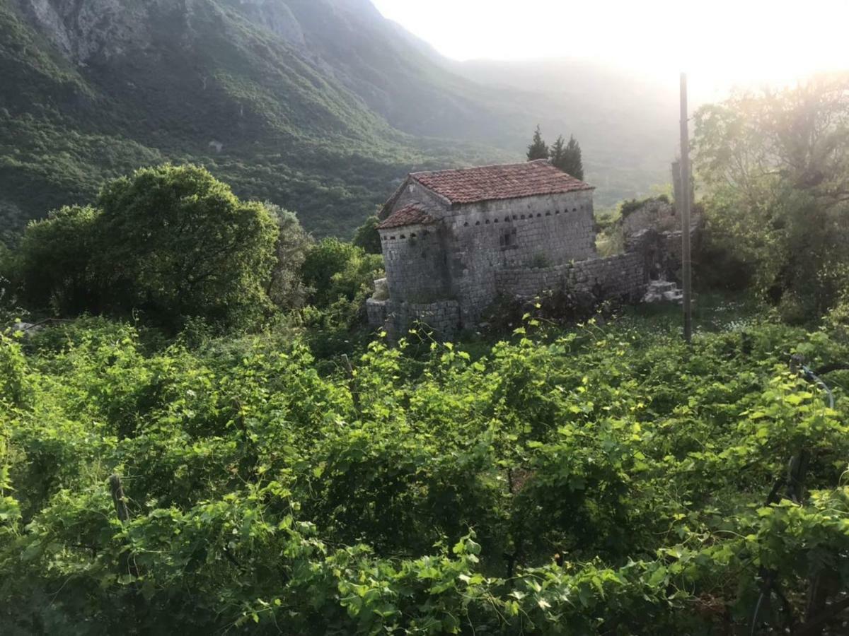 Apartman Vesna Virpazar Dış mekan fotoğraf